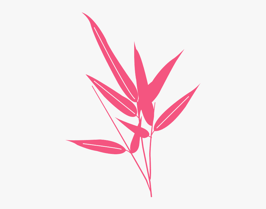 Dessiner Une Feuille De Bambou, Transparent Clipart