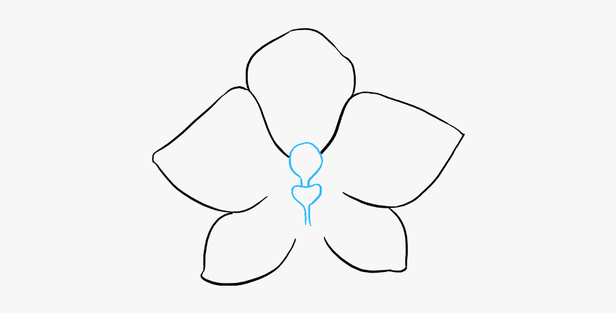 How To Draw Orchid, Transparent Clipart