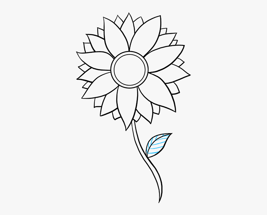 How To Draw Sunflower - Drawing Of Sunflower Step By Step, Transparent Clipart