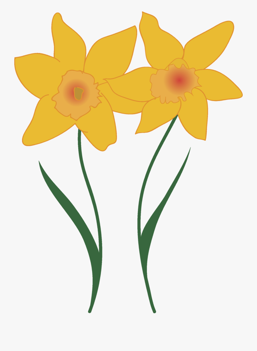 Our Pto Arranged For This Room Sized Map Of North America - Narcissus, Transparent Clipart