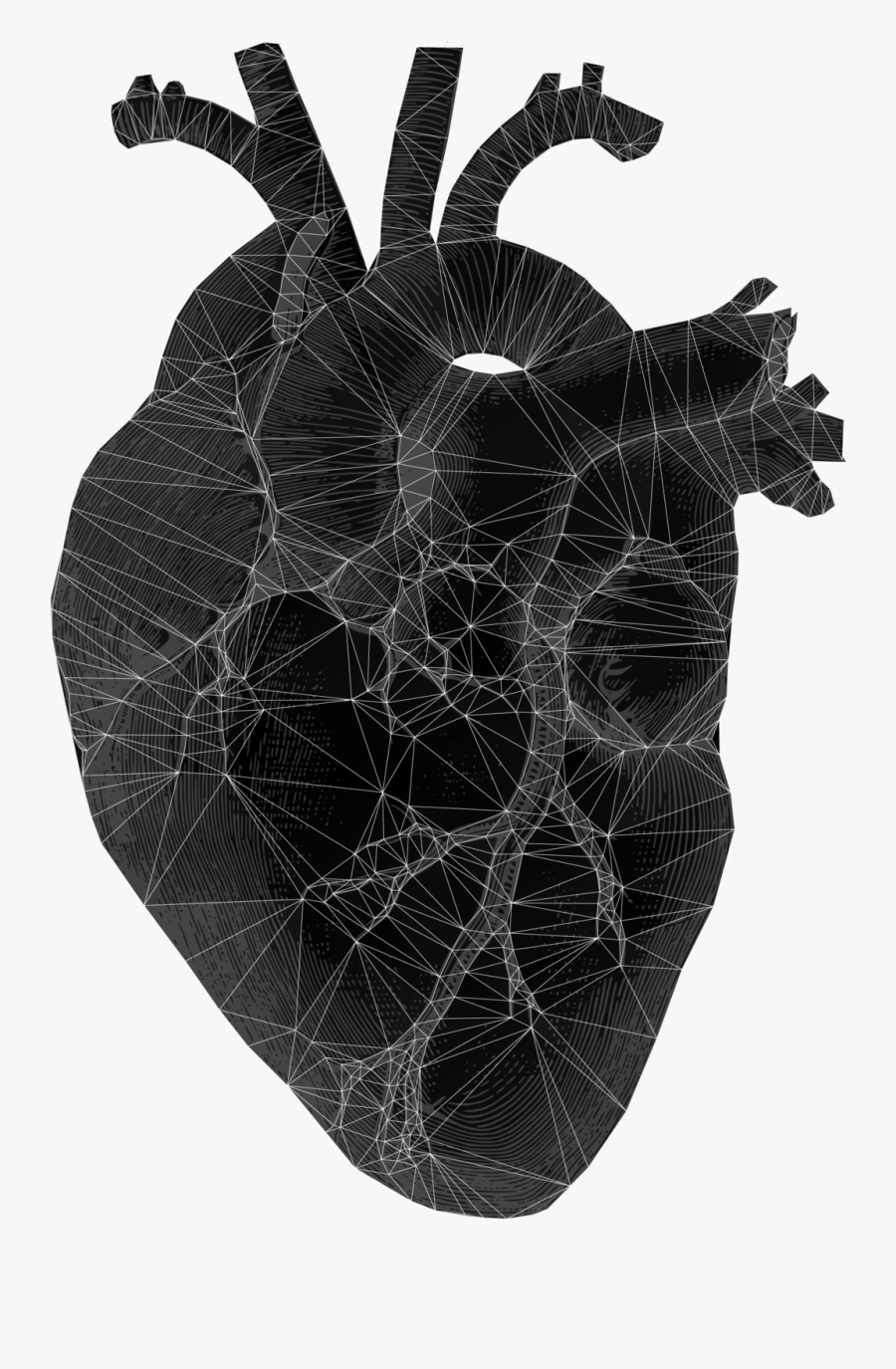 Realistic Heart Png - Realistic Black Heart Png, Transparent Clipart