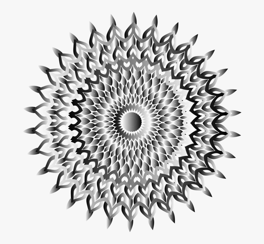 Close Up,symmetry,monochrome Photography - Circle, Transparent Clipart