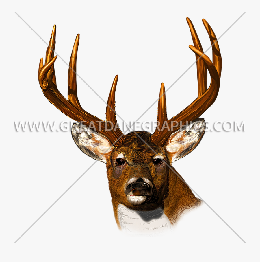 Head Stare Production Ready - Elk, Transparent Clipart