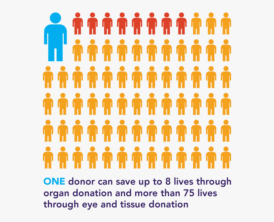 One Donor Can Save Up To Eight Lives Through Organ - 8 Lives Saved By Organ Donation, Transparent Clipart