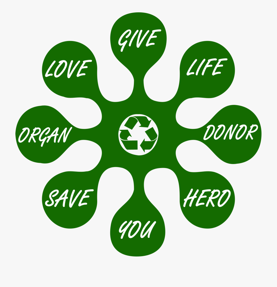 Organ Donation, Transparent Clipart