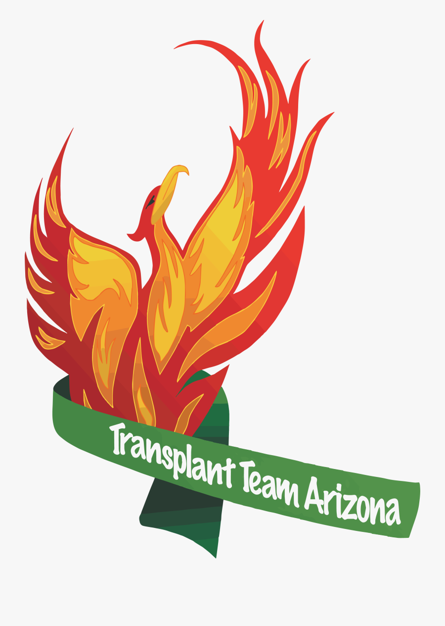 Transplant Team Az Annual Meeting, Transparent Clipart