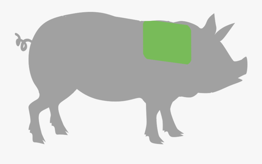 My Year Without Meat By Richard Cornish Clipart , Png - Major Cuts Of Pork, Transparent Clipart