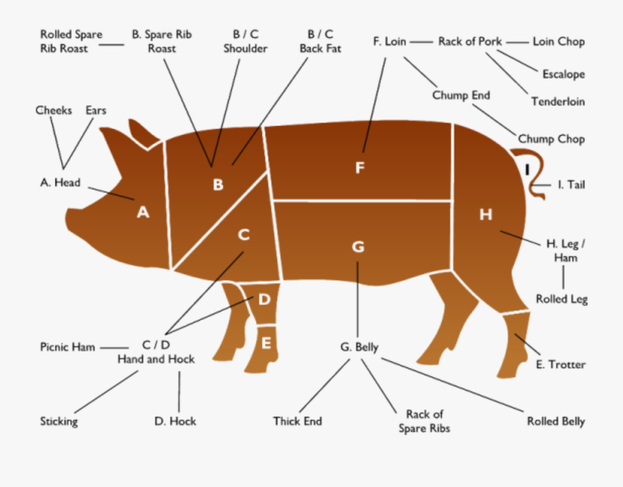 Pork Cuts - Pork Knuckle Part Of Pig, Transparent Clipart