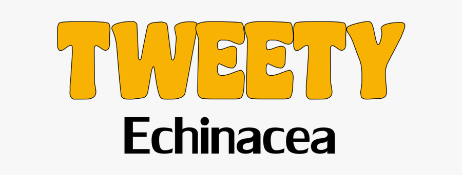 Image Of Echinacea Tweety - Conselho Municipal De Assistencia Social, Transparent Clipart