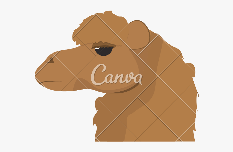 Clip Art Animal To Desert Travel - Camel Clipart Head, Transparent Clipart