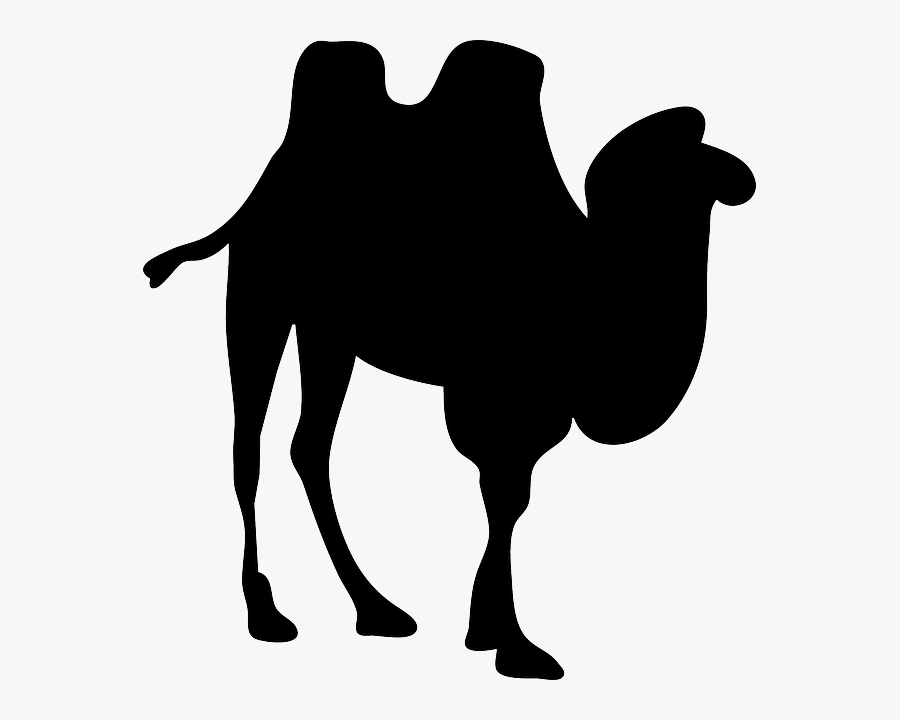 Camel Silhouette No Background, Transparent Clipart