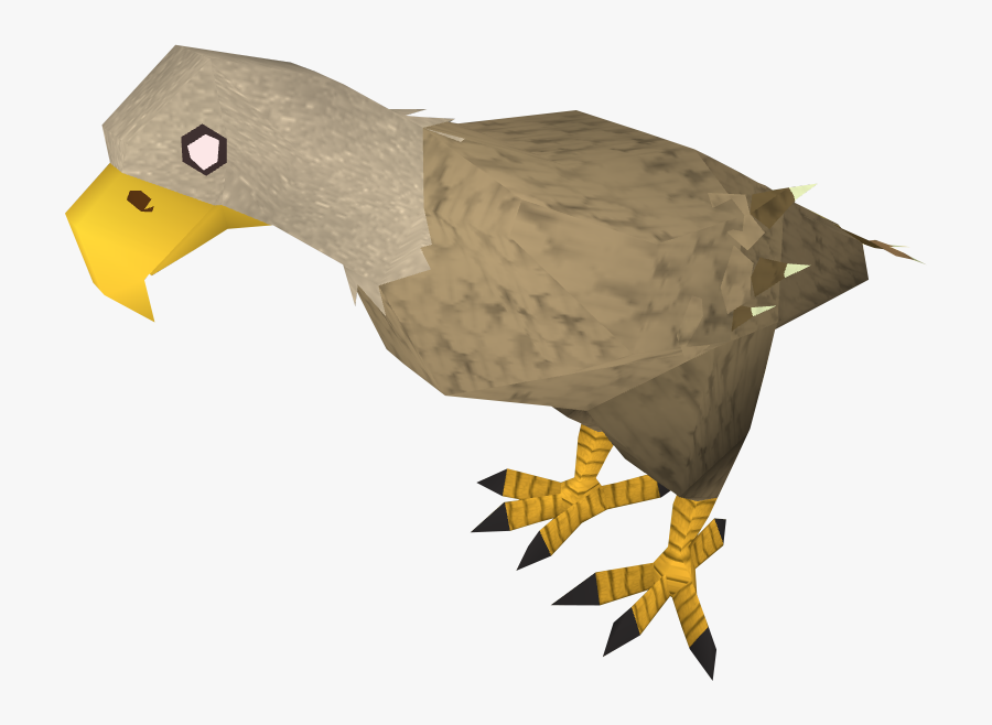 Transparent Desert Eagle Clipart - Desert Eagle Animal Png, Transparent Clipart