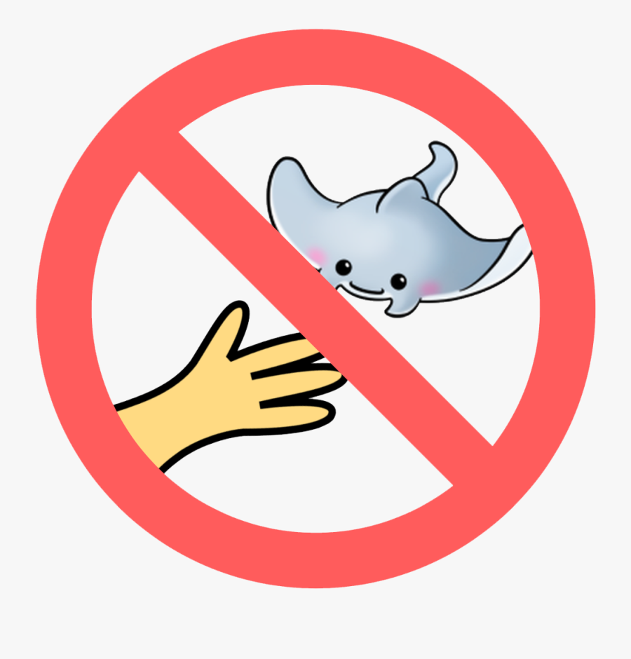 No Touching Or Chasing Marine Life - Bacteria Protection Png, Transparent Clipart