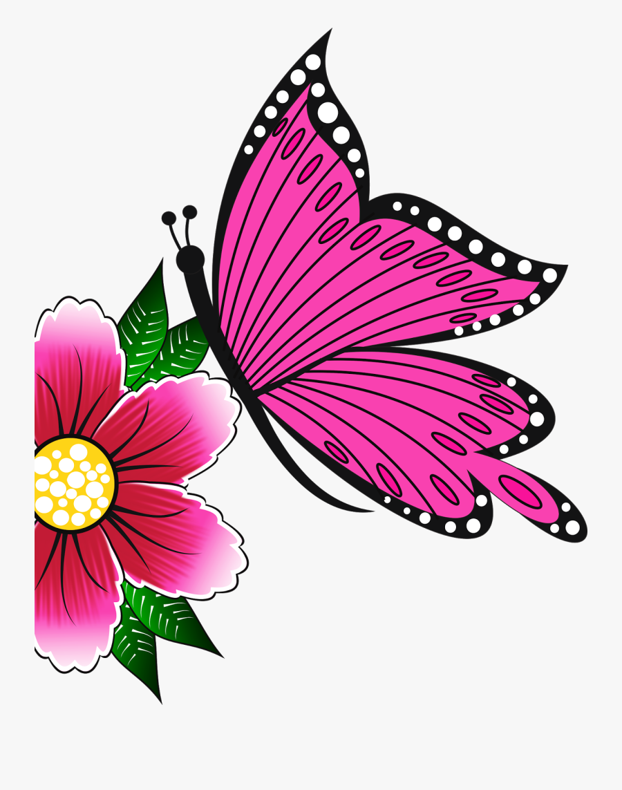 Star Painting, Rock Painting, Butterfly Fairy, Country - Adesivos De Unhas Png, Transparent Clipart