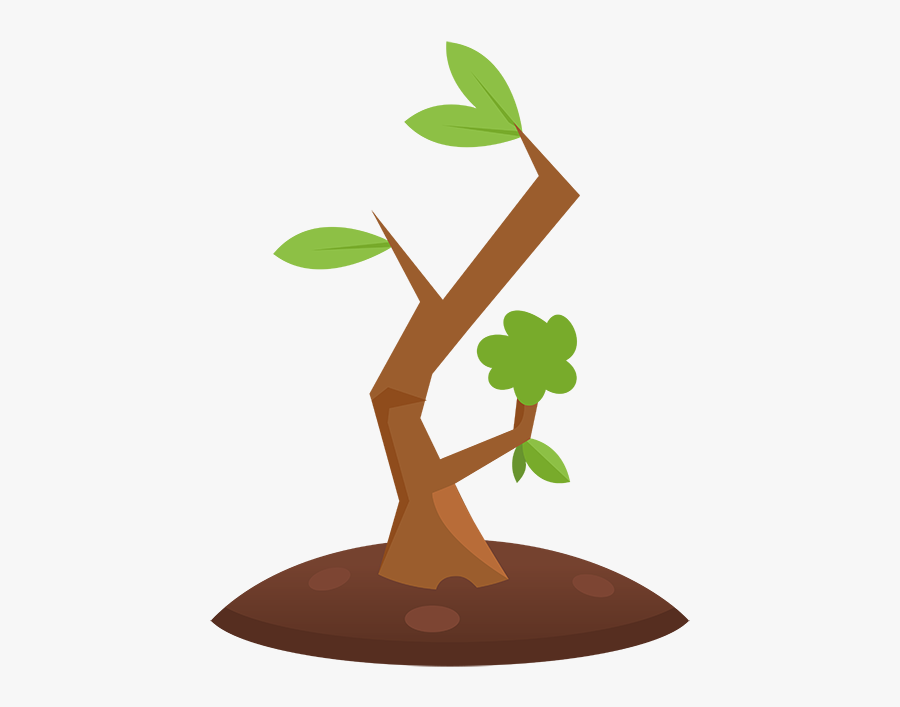 Planting Clipart Plant Shoot - Illustration, Transparent Clipart