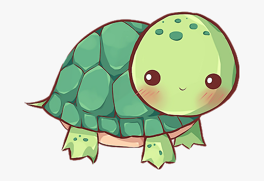 #tortugas #tortuga #mar - Cute Turtle Drawing, Transparent Clipart