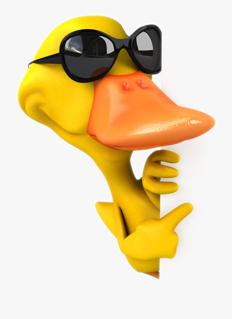 Pictures Illustration American Pekin Duck Cartoon Stock - Duck With Glasses Clipart, Transparent Clipart