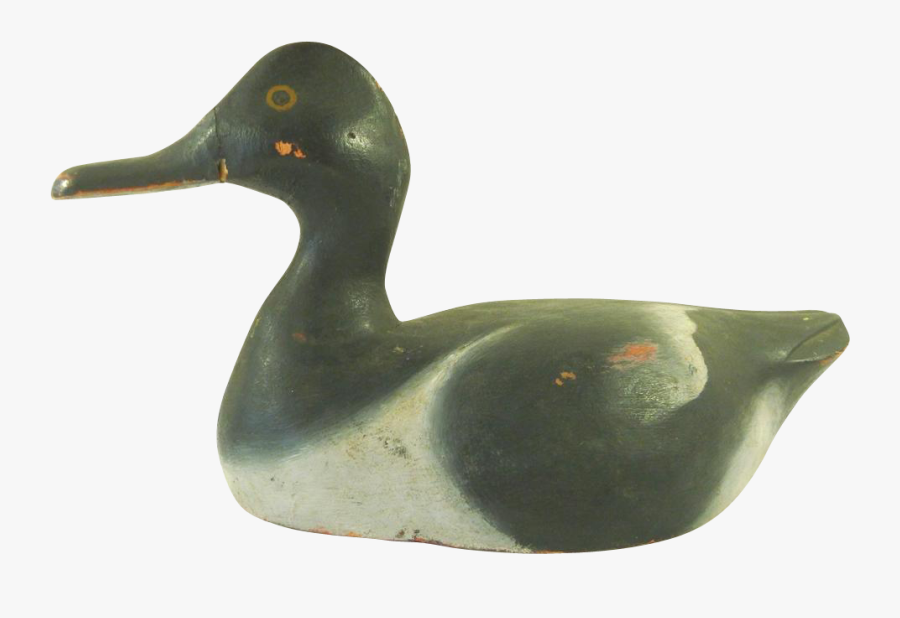 Mallard, Transparent Clipart