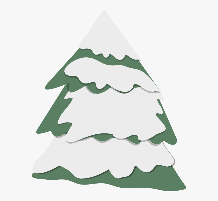 Fir,pine Family,plant - Christmas Tree, Transparent Clipart