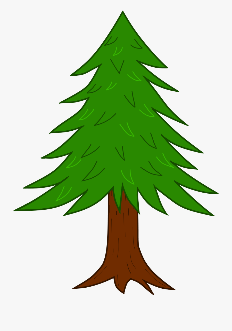Wtf Scatterbrain Coniferoustree - Forest Tree Drawing With Color Png, Transparent Clipart