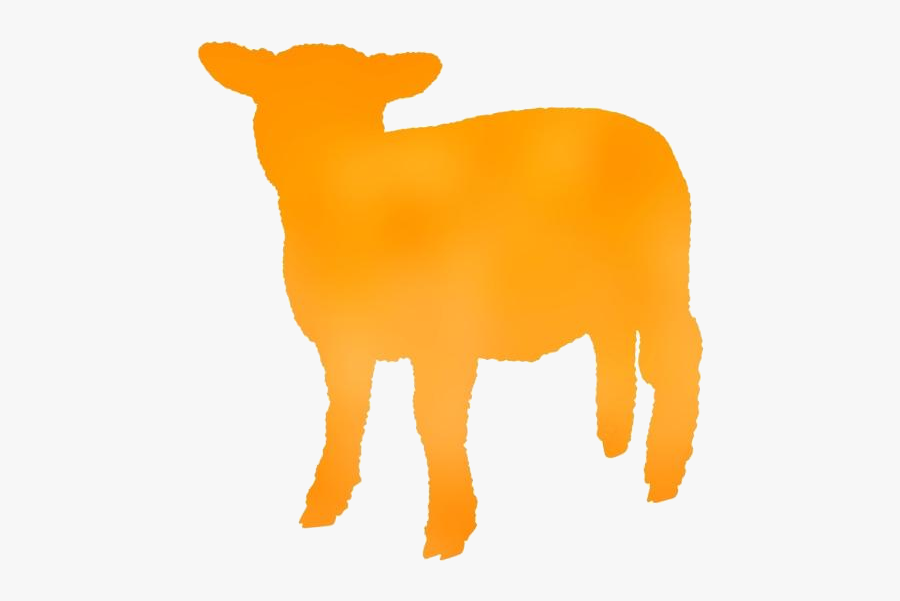 Baby Sheep Standing Png Free Clipart - Baby Lamb Silhouette, Transparent Clipart