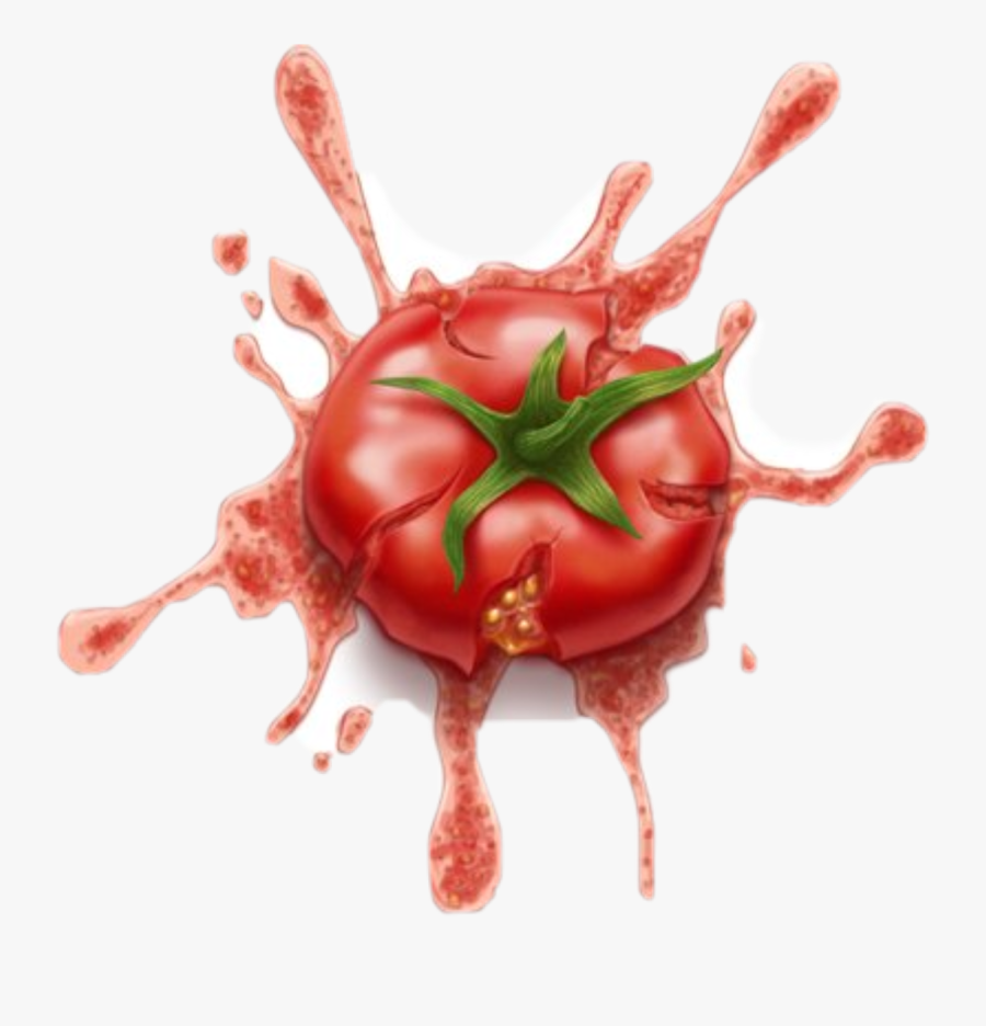 #splat The Tomatoe - Squashed Tomato Clipart, Transparent Clipart