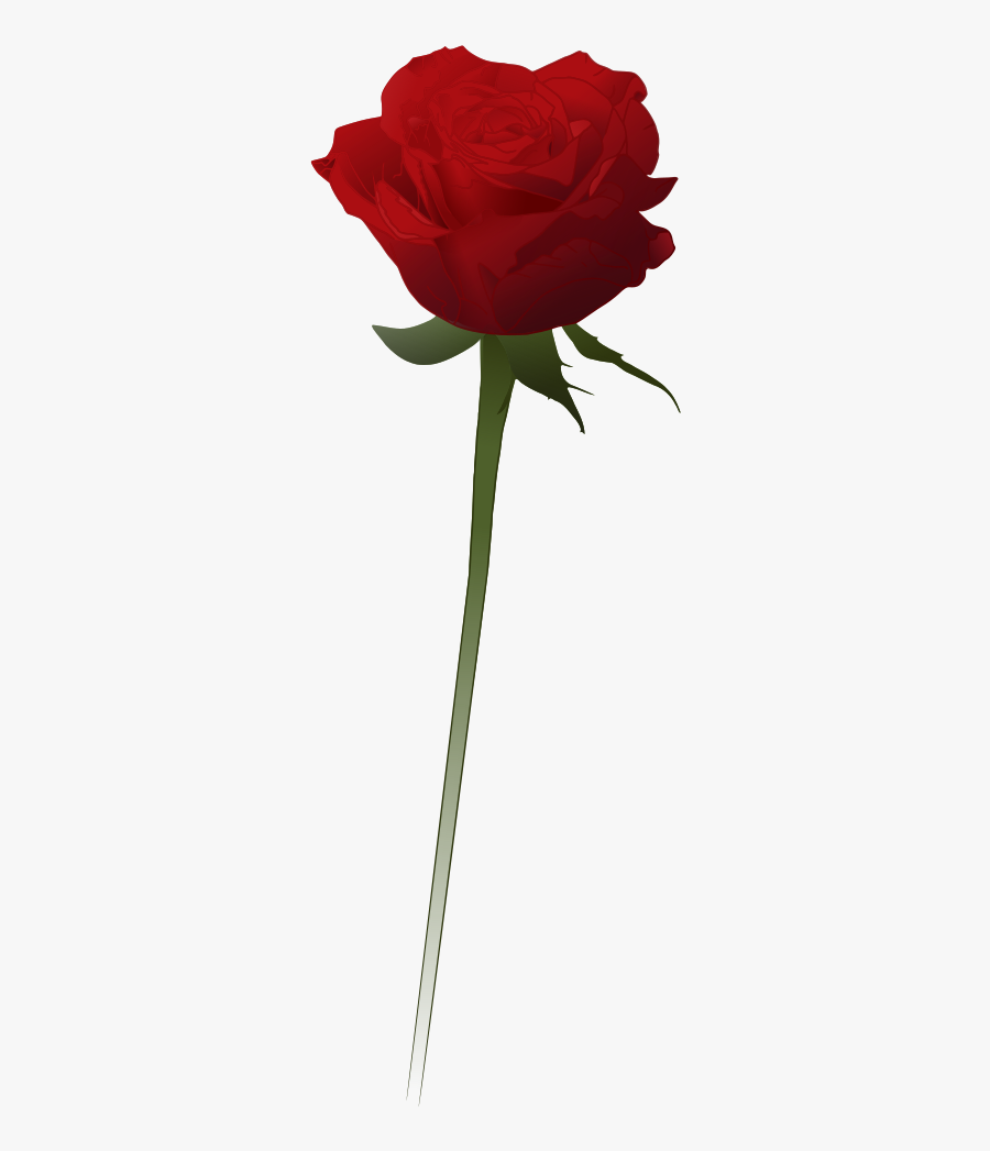Red Rose Clipart Vector - Red Rose Vector Png, Transparent Clipart