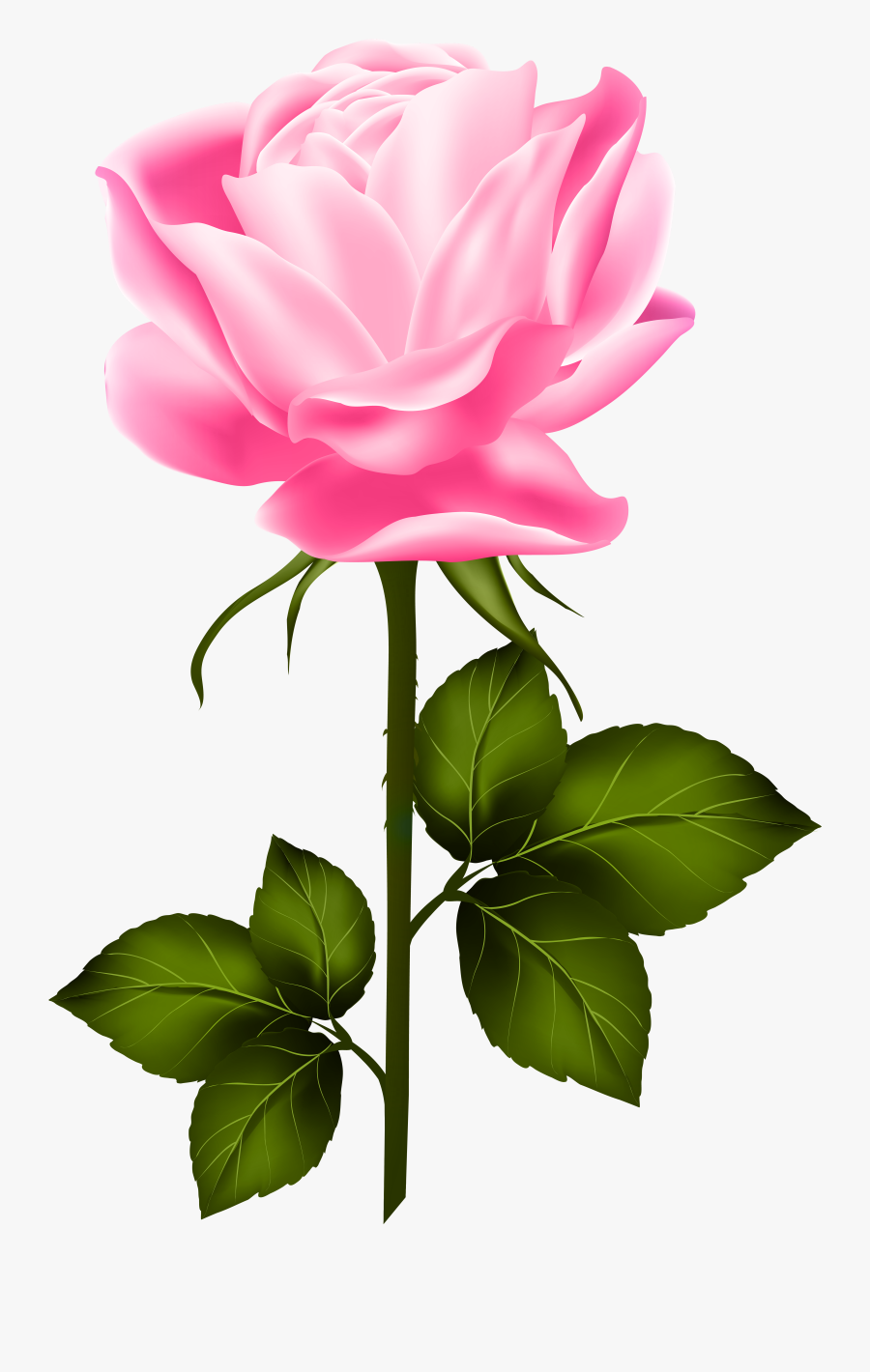 Pink With Stem Png - Purple Rose With Stem, Transparent Clipart