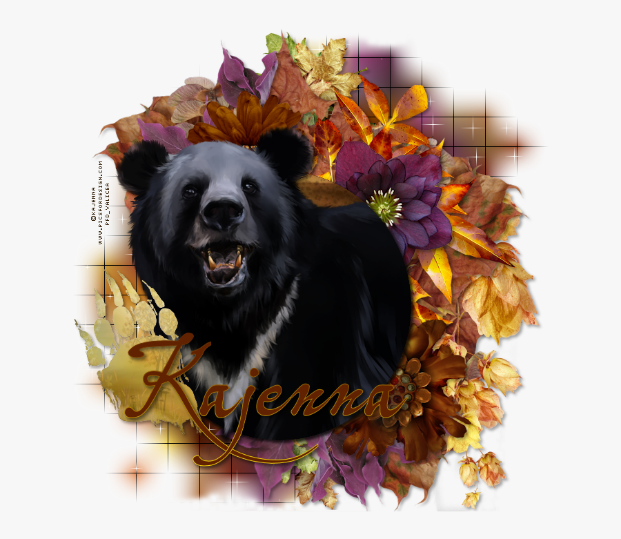 Dog Licks, Transparent Clipart