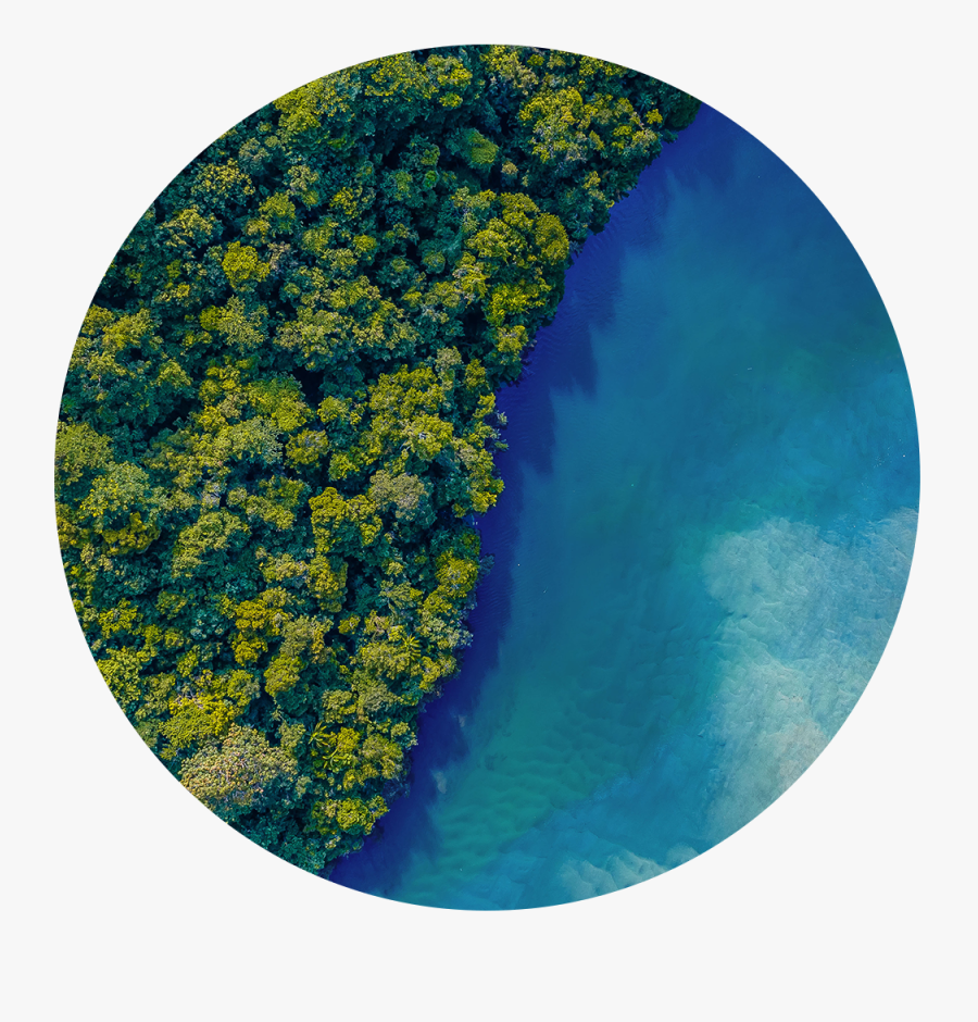 Earth Day, Transparent Clipart