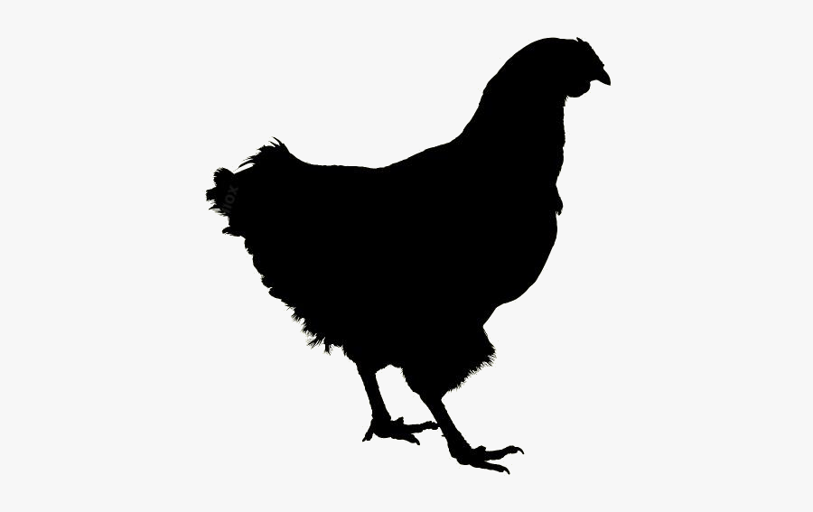 Simple Chicken Png Hd Image, Transparent Simple Chicken - Chicken Icon, Transparent Clipart