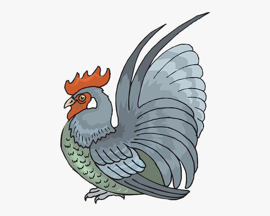 Bird, Rooster, Animal, Feathers, Crouching - Rooster, Transparent Clipart