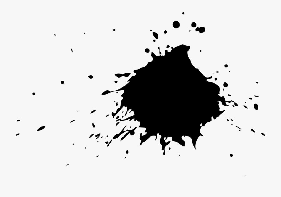 Photography, Transparent Clipart