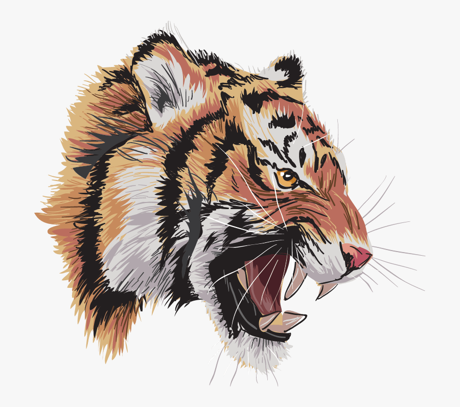 Tigre2iz Oscar Gamarra Bravo 2018 12 06t13 - Roaring Tiger Hd Png, Transparent Clipart