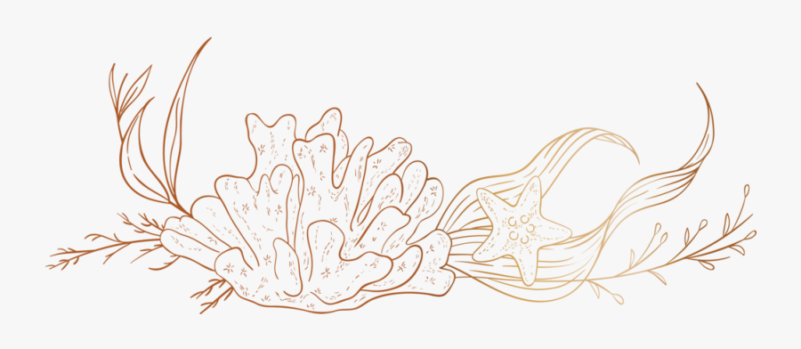 Floralfooter - Illustration, Transparent Clipart