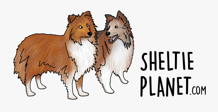 Clip Art Planet Scottiemax Pinterest Shetland - Rough Collie, Transparent Clipart