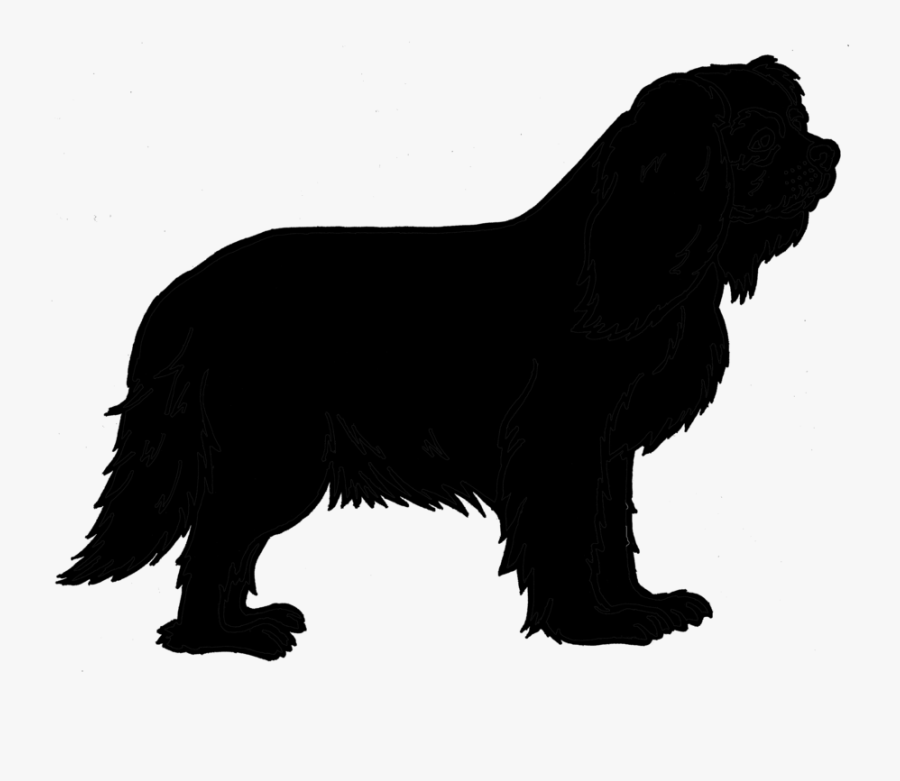 Sheltie Vector Graphics Royalty-free Stock Illustration - Companion Dog, Transparent Clipart