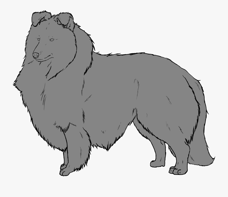 Free Shetland Sheepdog Lines - Rough Collie, Transparent Clipart