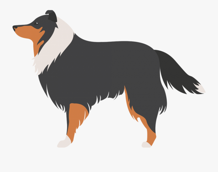 Raças De Cães Pastores, Transparent Clipart