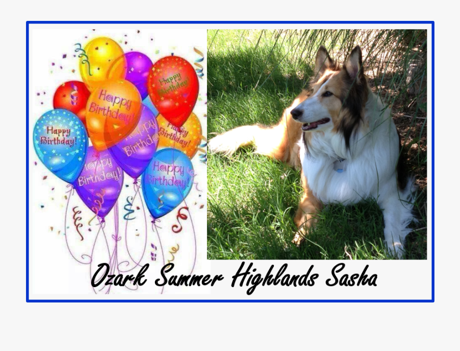 Happy Birthday Twins Balloons, Transparent Clipart