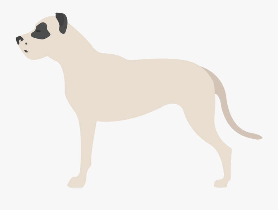 Car Sticker Dogo Argentino, Transparent Clipart