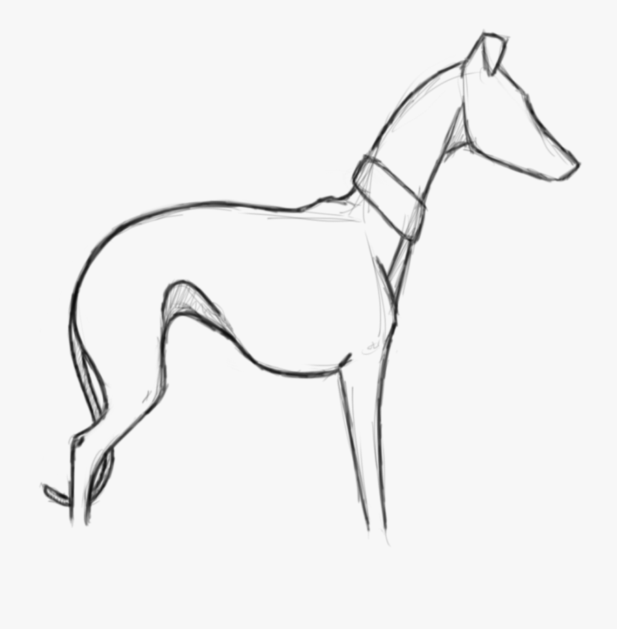 Whippet Sketch - Picture - Whippet Outline, Transparent Clipart