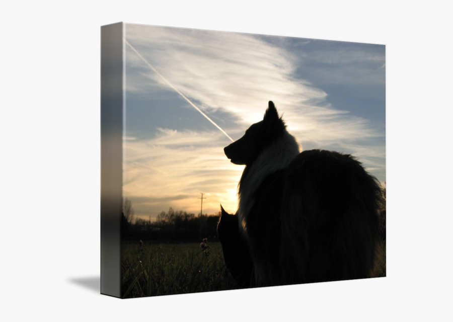 Stock Photography Silhouette Sky Plc - Dog, Transparent Clipart