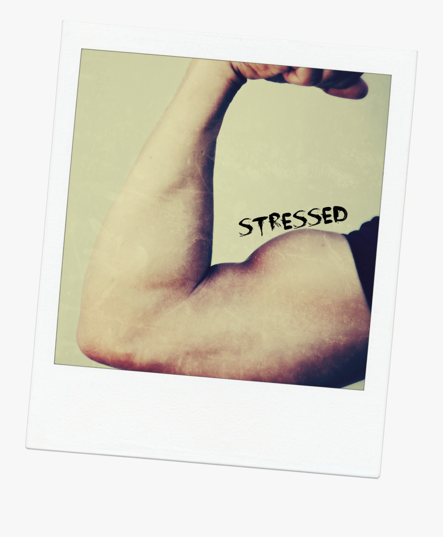 Paper, Transparent Clipart