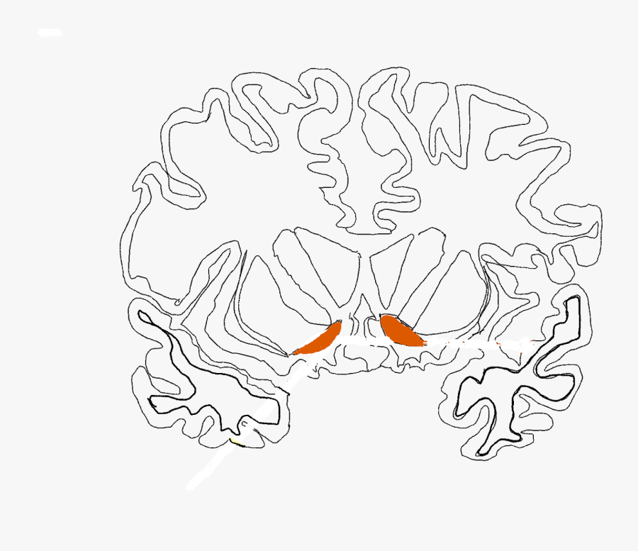 Clip Art Bad For Free - Sketch, Transparent Clipart