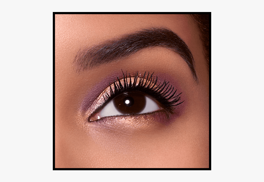 Clip Art Makeup Artist Tricks - Perfect Eyebrows Hd, Transparent Clipart