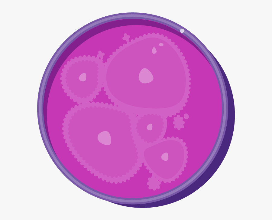 Circle, Transparent Clipart