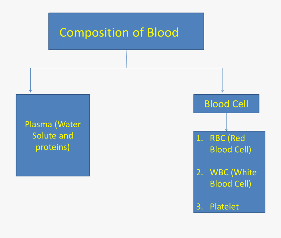 Transparent Red Blood Cell Png - Corpuscles And Plasma Of Blood, Transparent Clipart