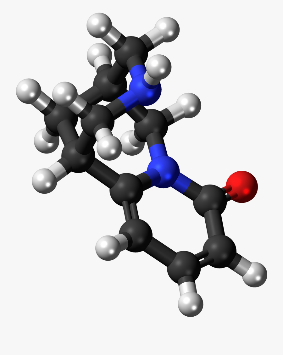 Cytisine 3d Ball - Gabapentin Ball And Stick Model, Transparent Clipart