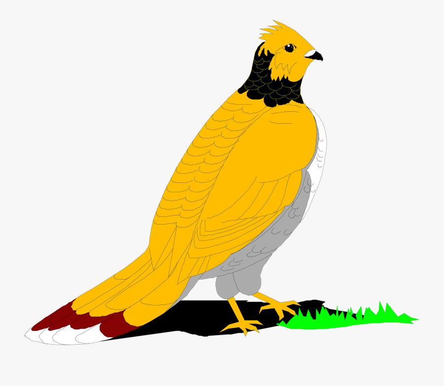 Clip Art, Transparent Clipart